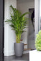 Capi Europe - Vaas elegant laag Smooth NL - 26x36 - Zwart - Opening Ø20 - Bloempot voor binnen en buiten - Levenslang garantie - Breukbestendig - 100% Recyclebaar - CO2 Neutraal geproduceerd - KBL781