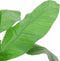 vidaXL - Kunstplant - bananenboom - 9 - bladeren - 120 - cm - groen