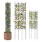 Coast Plantsteunen - 3-Pack Zwart - 19 x 64 inch (48 x 164 cm) (3-pack)