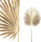 PTMD Twig Plant Palm Kunstblad - 49 x 44 x 110 cm - Goud