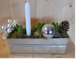 Kerststukje 'Lipetsk' zink rechthoekig bakje 30 cm hyacinten met ka...