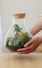 Erlenmeyer M Bonsai