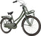 Popal Daily Dutch Basic+ N3 - Kinder Transportfiets - 24 Inch - Legergroen