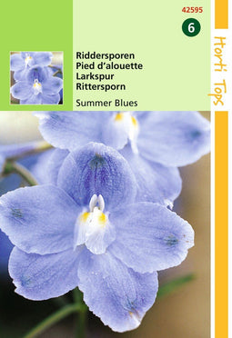 2 stuks - Hortitops - Delphinium Grandiflorum Summer Blues