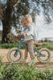 Little Dutch Loopfiets LD8006 - 12-inch - Voor kinderen vanaf 2 jaar - Blue mat