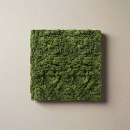 Moswand | Groen | Zelfklevend | Vierkant | ↑25cm -Ø25cm