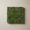 Moswand | Groen | Zelfklevend | Vierkant | ↑25cm -Ø25cm