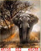 Dieren - Diamond Painting - Olifant - 40X50CM