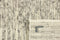 Landscape River Beige 1018 Vloerkleed - 250x350 - Rechthoek - Laagpolig,Structuur Tapijt - Modern - Beige, Taupe