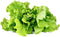 Click & Grow Navulling Groene sla Refill 3-Pack