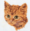Thea Gouverneur - Borduurpakket met telpatroon - 931 - Voorgesorteerde DMC Garens - Rode Kat - Linnen - 30 cm x 40 cm - DIY Kit