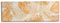 Canvas Blad van een plant Gouden 135 x 45 x 1,5 cm (6 Stuks)
