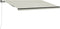 vidaXL - Luifel - automatisch - uittrekbaar - 300x250 - cm - antraciet