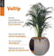 Capi Europe - Bloempot Rib NL - Breukbestendig - Zwart - Ø35 cm