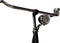 Avalon Budget-export - Fiets - Vrouwen - Zwart - 56 cm