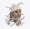 Thea Gouverneur - Borduurpakket met telpatroon - 743A - Voorgesorteerde DMC Garens - Whoo..Whoo..It's Winter - Aida - 31 cm x 30 cm - DIY Kit