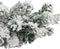 vidaXL - Kerstslinger - met - sneeuw - 20 - m - PVC - groen