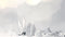 Devolver Digital GRIS - Deluxe Edition - Artbook en soundtrack