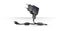 Sony Ericsson EP310 - Lader MicroUSB - 550mAh - Zwart