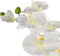 Emerald Kunstbloem Orchidee - 80 cm - wit - losse tak - kunst zijdebloem - Phalaenopsis