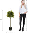 Mica Decorations Laurierboom Kunstplant - H120 x Ø40 cm - Groen