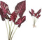 PTMD Leaves Plant Caladium Bos Kunsttak - 44x31x53 cm - Bordeauxrood