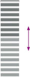 vidaXL - Zebra - rolgordijn - 70x200 - cm - stofbreedte - 65,9 - cm - donkergrijs