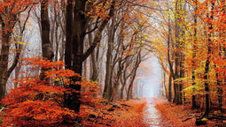 Diamond painting de luxe - Landschap Herfst - 40x70 cm