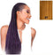 Haarextensies X-Pression 27 Nº 27
