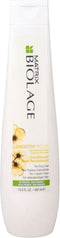 Haarstijlbehandeling Wella Biolage ConSmoothproof