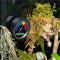 Habistat Dial Hygrometer - Terraium - 1 stuk