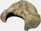 HabiStat Repto Decoratie Grot - XL - 37 x 29 x 17 cm