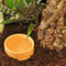 Habistat - Ronde Plastic Water Bak - M - 9 X 9 X 3.5cm