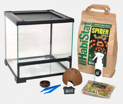 Habistat Spinnen Start Set - Spinnen Terrariumset