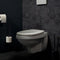 Haceka Ixi Toiletrolhouder zonder Klep Mat Zwart RVS
