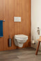 Haceka Kosmos Toiletborstelset - wandmodel - mat RVS