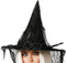 Halloween heksenhoed - met sluier - one size - zwart - meisjes/dames - verkleed hoeden