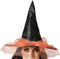 Halloween heksenhoed - met sluier - one size - zwart/oranje - meisjes/dames - verkleed hoeden
