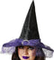 Halloween heksenhoed - met sluier - one size - zwart/paars - meisjes/dames - verkleed hoeden
