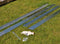 Halls Greenhouses Fundering Popular 106 - Blank