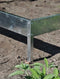 Halls Greenhouses Fundering Popular 106 - Blank