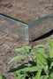 Halls Greenhouses Fundering Popular 86 - Blank