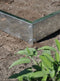 Halls Greenhouses Fundering Popular 86 - Blank