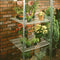 Halls Greenhouses Muurkas WG 42 - Blank