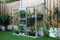Halls Greenhouses Muurkas WG 62 - Blank