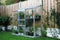 Halls Greenhouses Muurkas WG 62 - Blank