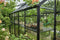 Halls Greenhouses Tafel Birdlip 44 - Zwart Gecoat