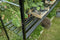 Halls Greenhouses Tafel Birdlip 64 -Geïntegreerd Zwart Gecoat