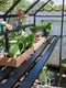 Halls Greenhouses Tafel Qube 128 -Geïntegreerd Zwart Gecoat