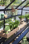 Halls Greenhouses Tafel Qube 128 -Geïntegreerd Zwart Gecoat